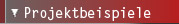 Projektbeispiele